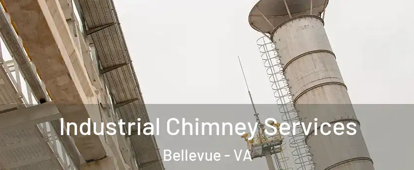 Industrial Chimney Services Bellevue - VA