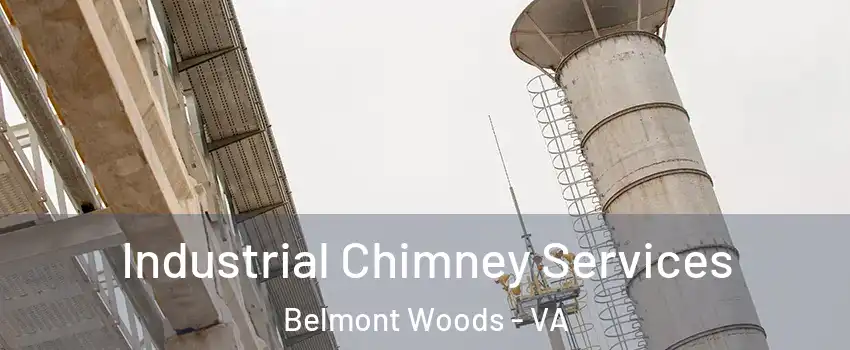 Industrial Chimney Services Belmont Woods - VA