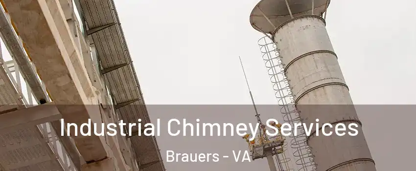 Industrial Chimney Services Brauers - VA