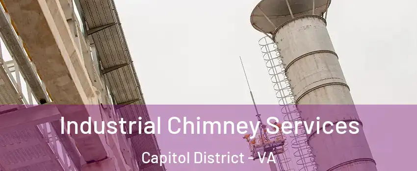 Industrial Chimney Services Capitol District - VA