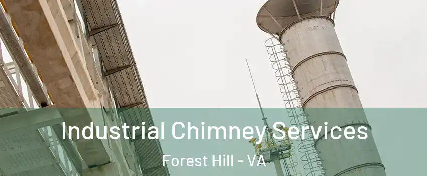 Industrial Chimney Services Forest Hill - VA
