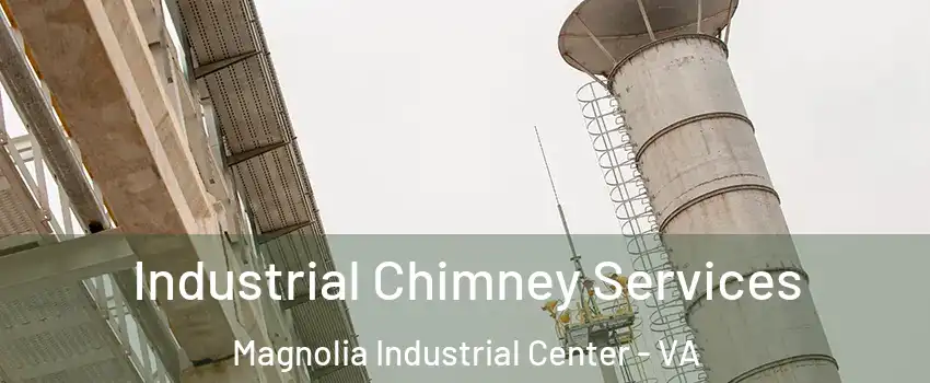 Industrial Chimney Services Magnolia Industrial Center - VA