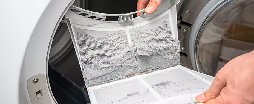 Best Dryer Lint Removal Company in Davee Gardens, Virginia