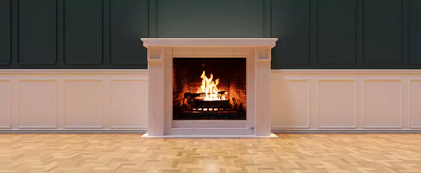 Napoleon Electric Fireplaces Inspection Service in Davee Gardens, Virginia