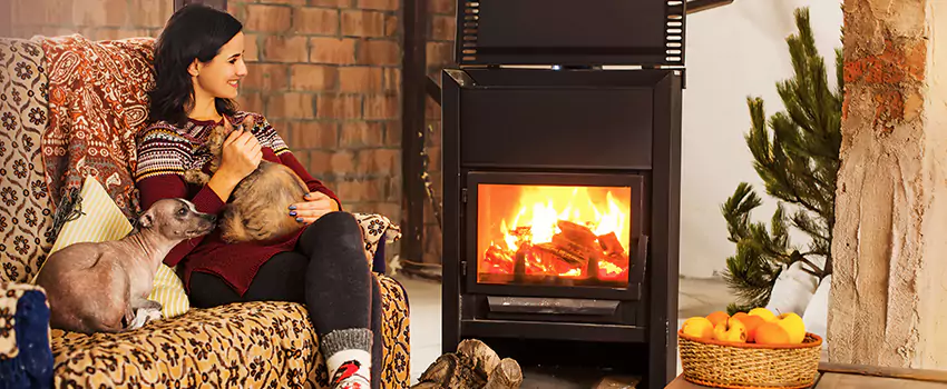 Wood Stove Chimney Cleaning Services in Davee Gardens, VA