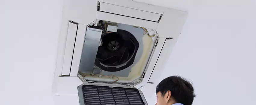 Benefits of Professional Air Duct Cleaning in Davee Gardens, Virginia