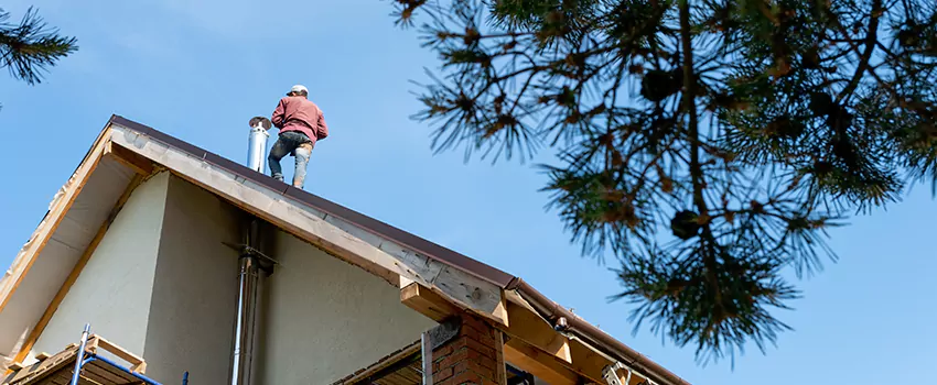 Birds Removal Contractors from Chimney in Davee Gardens, VA