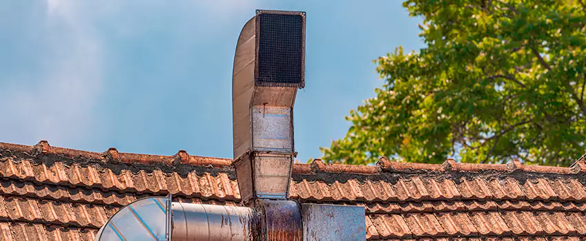 Chimney Creosote Cleaning Experts in Davee Gardens, Virginia