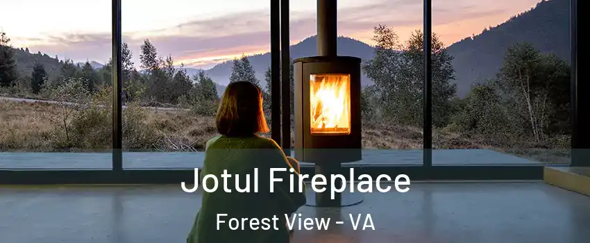 Jotul Fireplace Forest View - VA