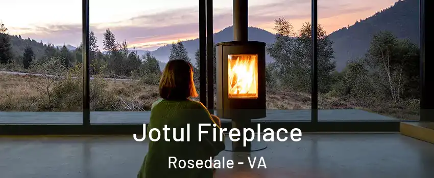 Jotul Fireplace Rosedale - VA