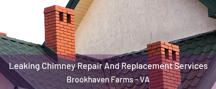 Leaking Chimney Repair And Replacement Services Brookhaven Farms - VA