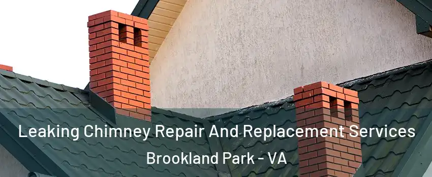 Leaking Chimney Repair And Replacement Services Brookland Park - VA
