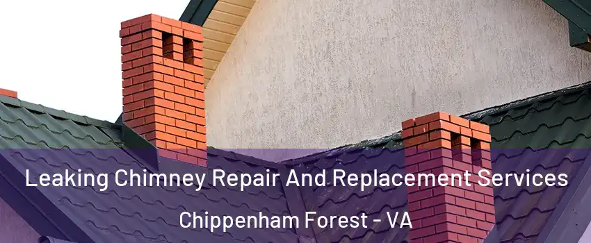 Leaking Chimney Repair And Replacement Services Chippenham Forest - VA