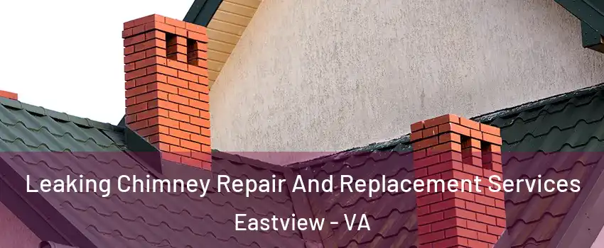 Leaking Chimney Repair And Replacement Services Eastview - VA