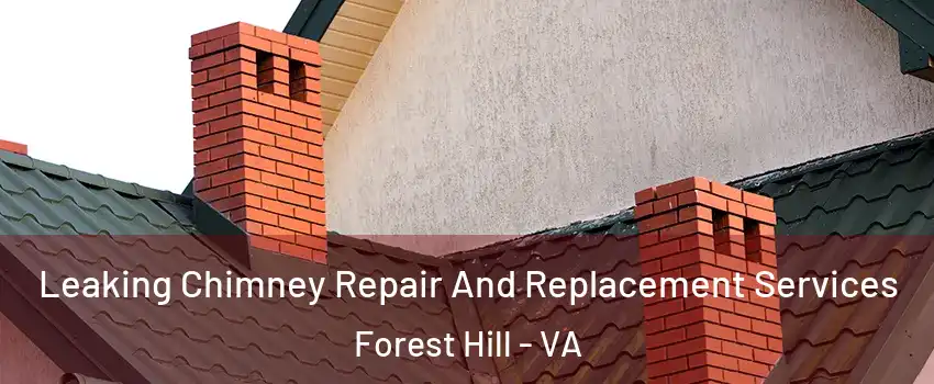 Leaking Chimney Repair And Replacement Services Forest Hill - VA