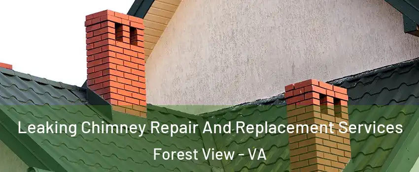 Leaking Chimney Repair And Replacement Services Forest View - VA