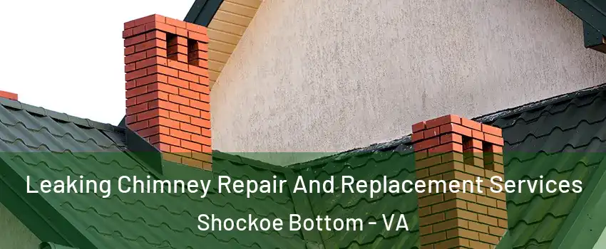 Leaking Chimney Repair And Replacement Services Shockoe Bottom - VA