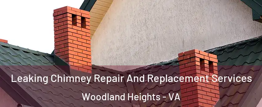 Leaking Chimney Repair And Replacement Services Woodland Heights - VA
