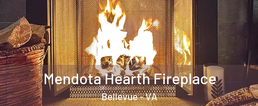 Mendota Hearth Fireplace Bellevue - VA