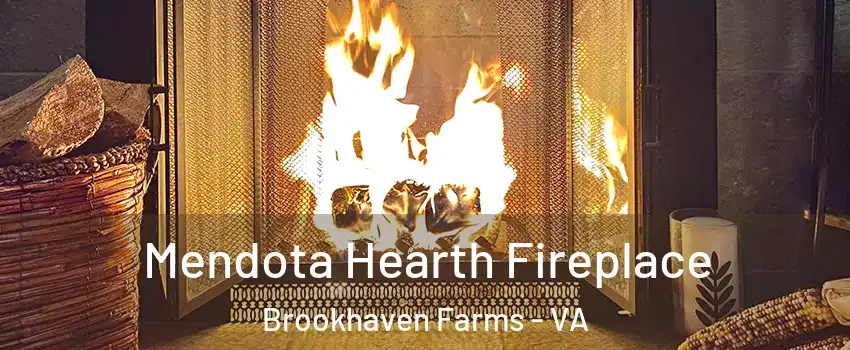 Mendota Hearth Fireplace Brookhaven Farms - VA