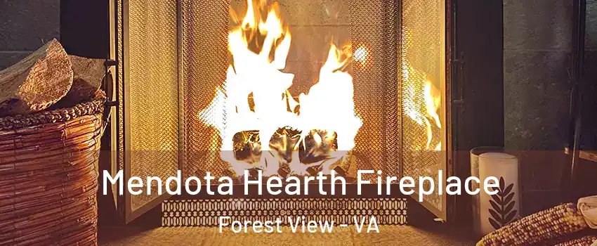 Mendota Hearth Fireplace Forest View - VA