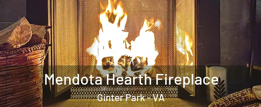 Mendota Hearth Fireplace Ginter Park - VA
