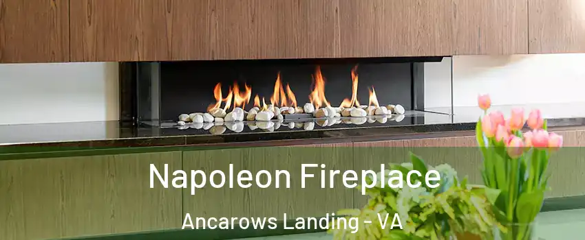 Napoleon Fireplace Ancarows Landing - VA