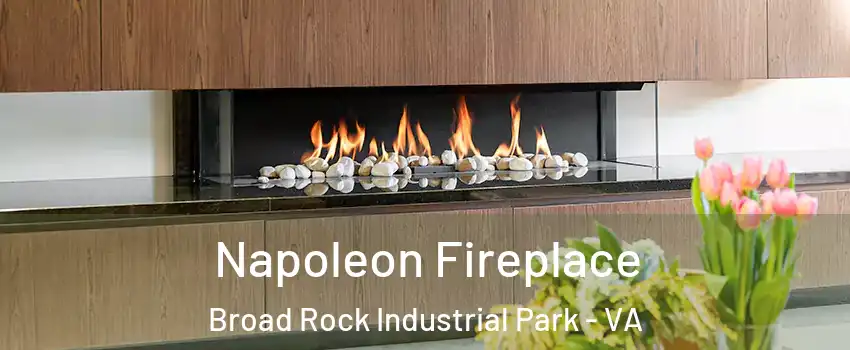 Napoleon Fireplace Broad Rock Industrial Park - VA
