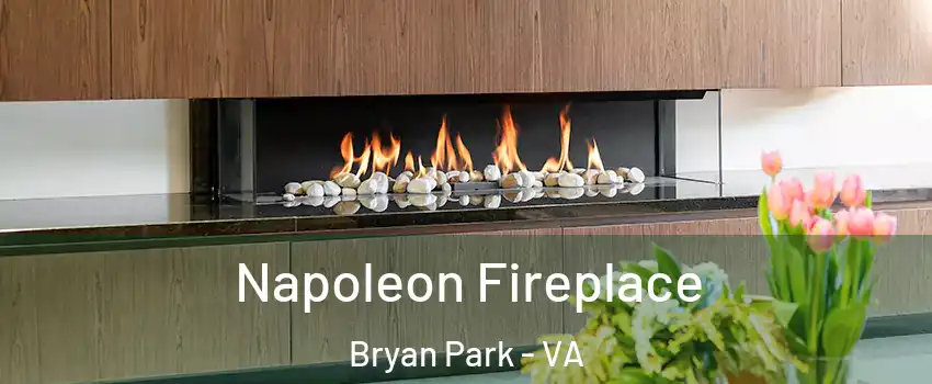 Napoleon Fireplace Bryan Park - VA