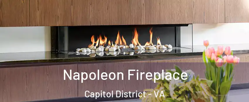 Napoleon Fireplace Capitol District - VA