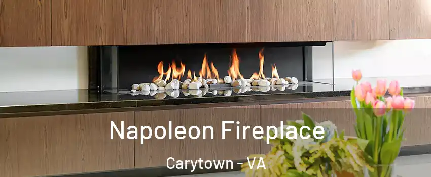 Napoleon Fireplace Carytown - VA