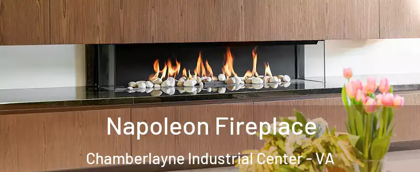 Napoleon Fireplace Chamberlayne Industrial Center - VA