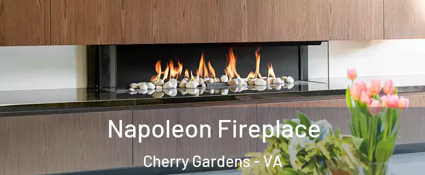 Napoleon Fireplace Cherry Gardens - VA