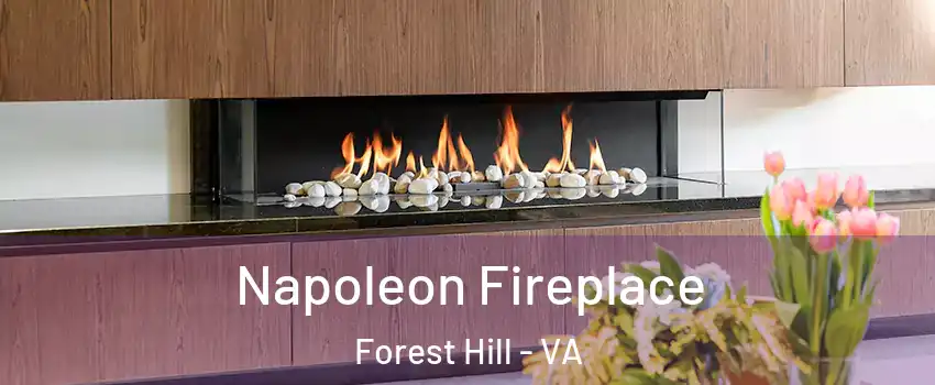 Napoleon Fireplace Forest Hill - VA
