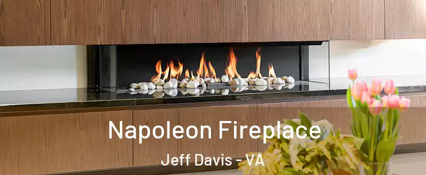 Napoleon Fireplace Jeff Davis - VA