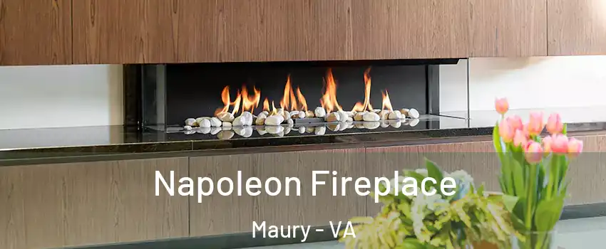 Napoleon Fireplace Maury - VA