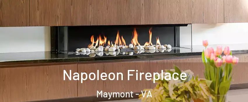 Napoleon Fireplace Maymont - VA