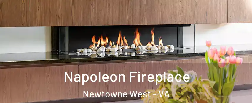 Napoleon Fireplace Newtowne West - VA