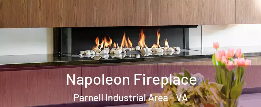 Napoleon Fireplace Parnell Industrial Area - VA