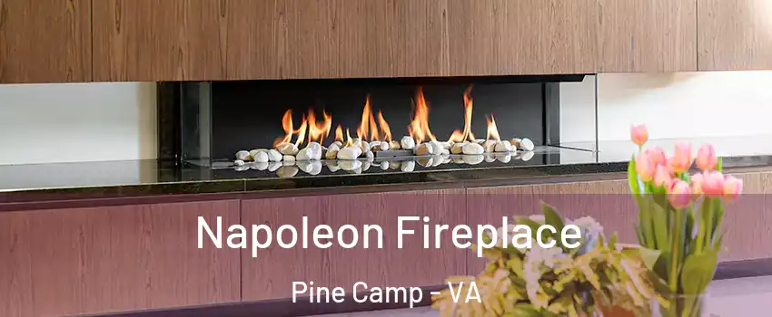 Napoleon Fireplace Pine Camp - VA