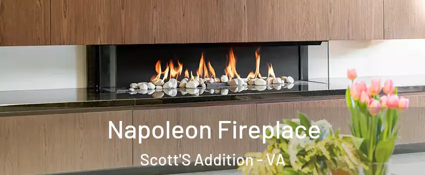 Napoleon Fireplace Scott'S Addition - VA