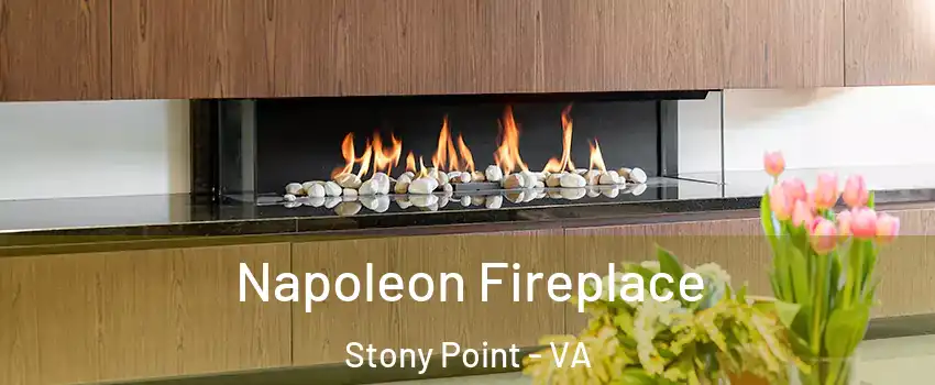 Napoleon Fireplace Stony Point - VA