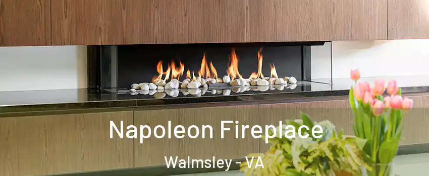 Napoleon Fireplace Walmsley - VA