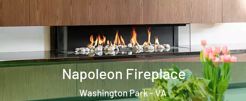 Napoleon Fireplace Washington Park - VA