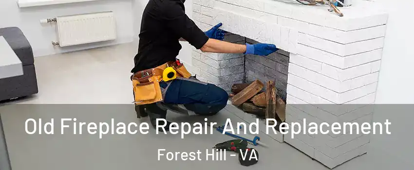 Old Fireplace Repair And Replacement Forest Hill - VA