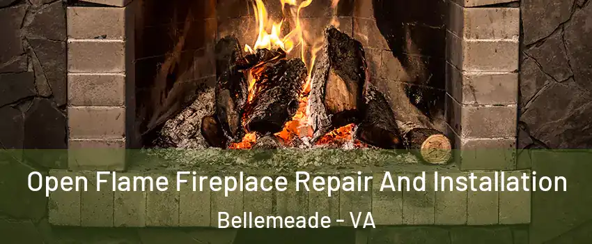 Open Flame Fireplace Repair And Installation Bellemeade - VA