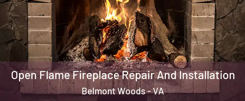Open Flame Fireplace Repair And Installation Belmont Woods - VA