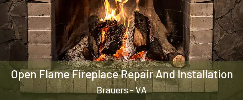 Open Flame Fireplace Repair And Installation Brauers - VA