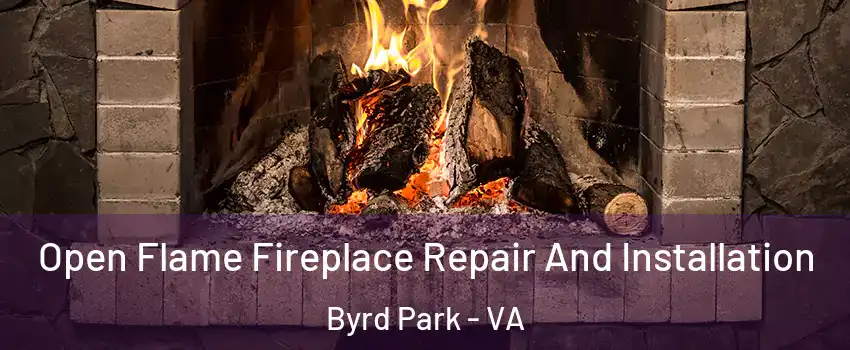 Open Flame Fireplace Repair And Installation Byrd Park - VA