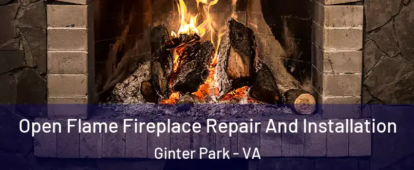 Open Flame Fireplace Repair And Installation Ginter Park - VA
